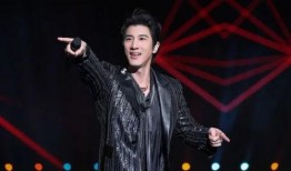 王力宏的爆料人是谁呀视频,是谁在暗中操控？