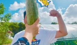 免费的网红吃瓜,揭秘娱乐圈幕后真相