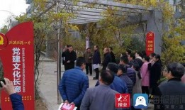 临沂一中爆料事件最新情况,真相逐步浮出水面，校园安全引关注